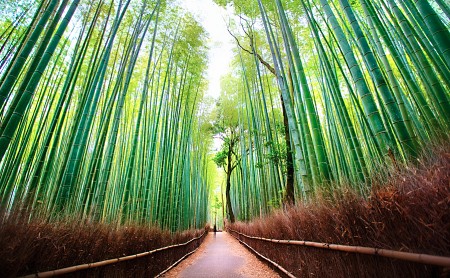 Arashiyama